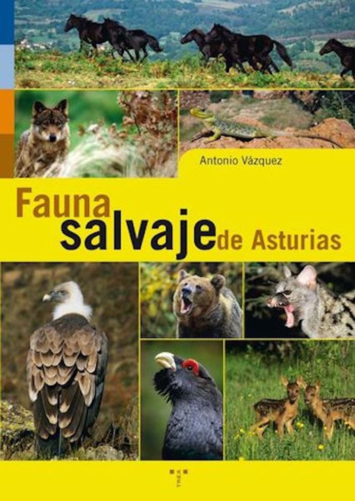 Fauna salvaje de Asturias, de Vázquez Argüelles, Antonio | portada del libro