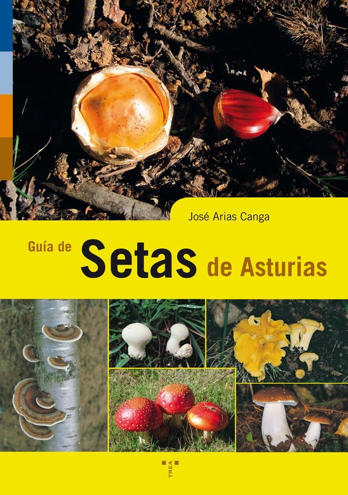 Guía de setas de Asturias, de Arias Canga, José | portada del libro