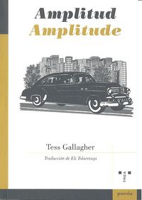 Amplitude, de Gallagher (estadounidense), Tess | portada del libro