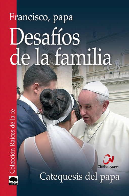 Desafíos de la familia, de Francisco, papa | portada del libro