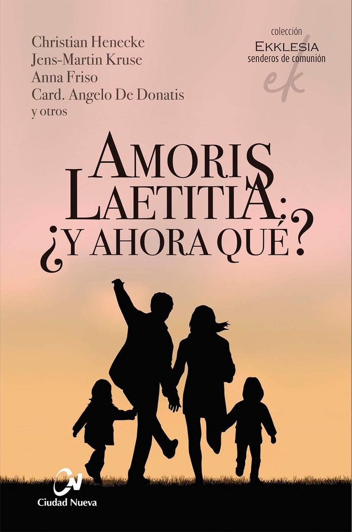 AMORIS LAETITIA Y AHORA QUE, de HENECKE, CHRISTIAN | portada del libro