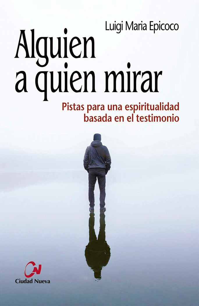 Alguien a quien mirar, de EPICOCO, LUIGI MARIA | portada del libro