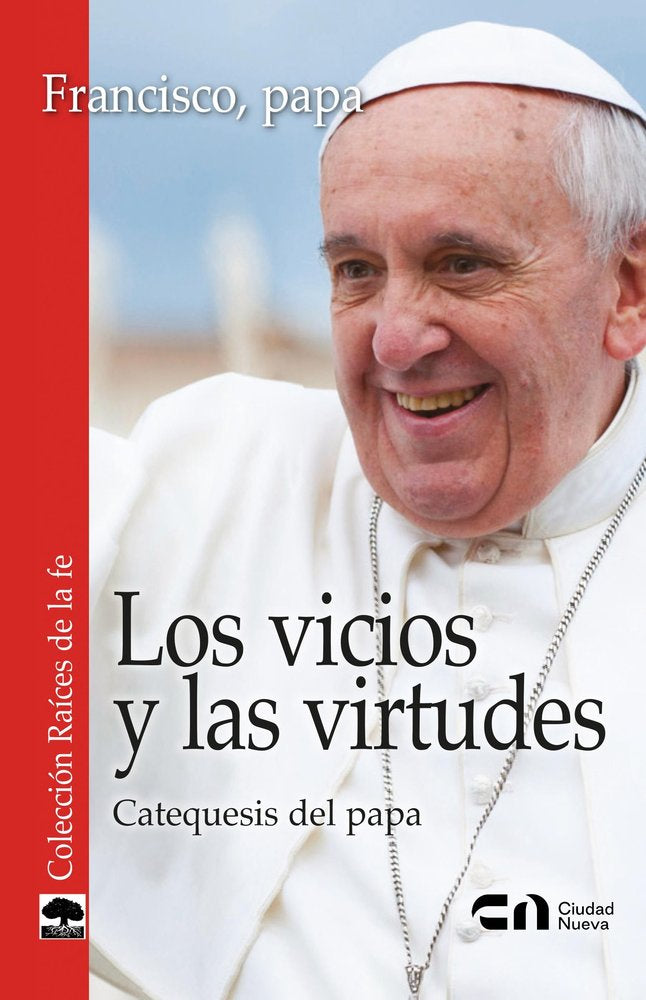 LOS VICIOS Y LAS VIRTUDES, de FRANCISCO, PAPA | portada del libro