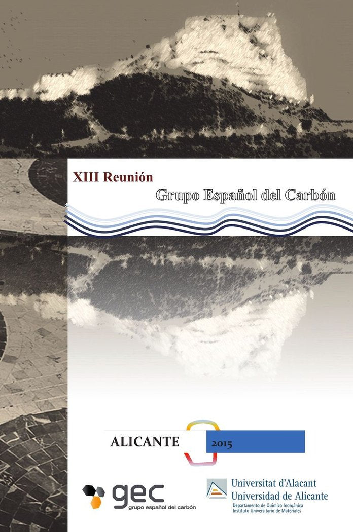 XIII Reunión del Grupo Español del Carbón, de AA.VV. | portada del libro