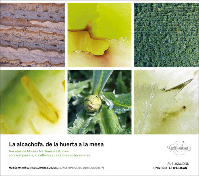 La alcachofa, de la huerta a la mesa., de Martínez Cano, Moisés | portada del libro