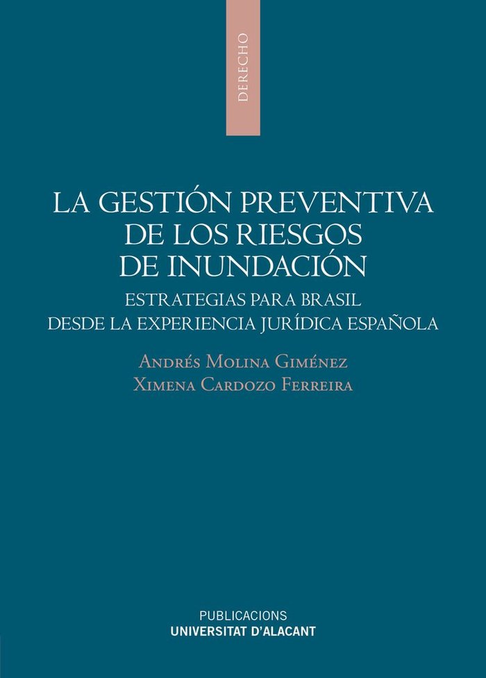 LA GESTION PREVENTIVA DE LOS RIESGOS DE INUDACION, de ANDRES | portada del libro