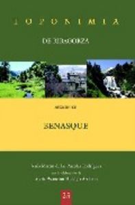 Toponimia de Ribagorza. Municipio de Benasque, de Martín de las Pueblas Rodríguez, Jesús | portada del libro