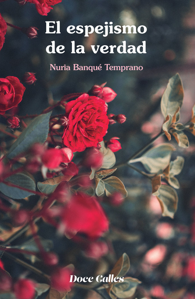 El espejismo de la verdad, de Banqué Temprano, Nuria | portada del libro