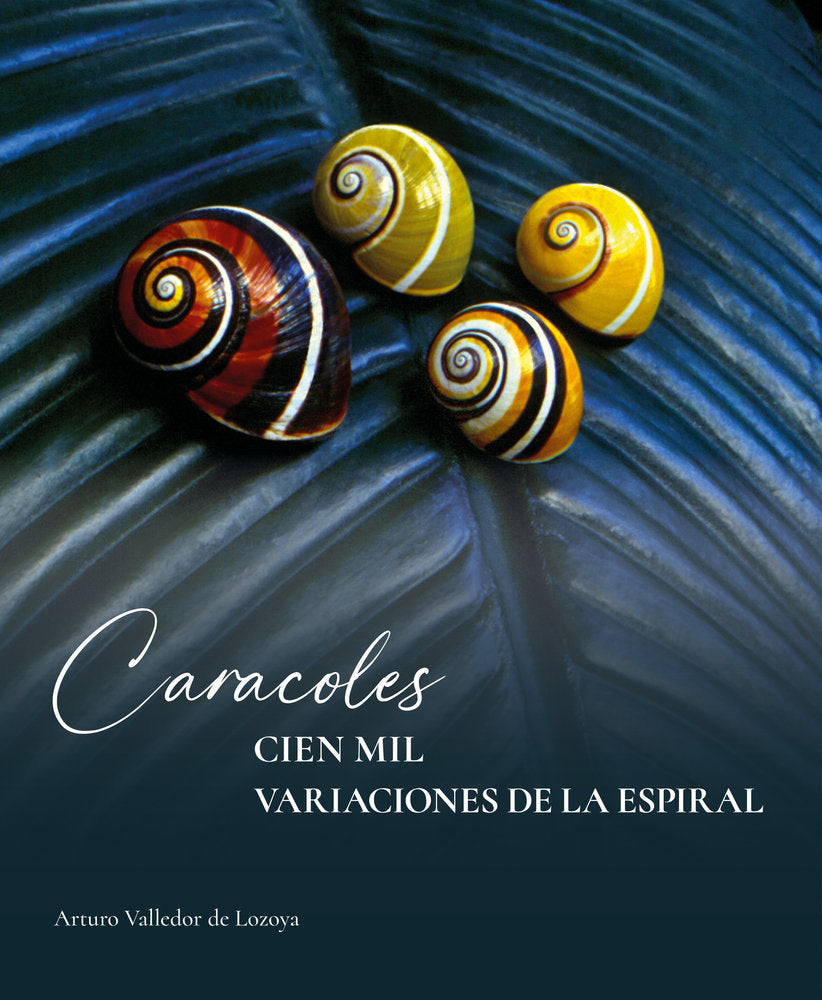 CARACOLES. CIEN MIL VARIACIONES DE LA ESPIRAL, de VALLEDOR DE LOZOYA, ARTURO | portada del libro