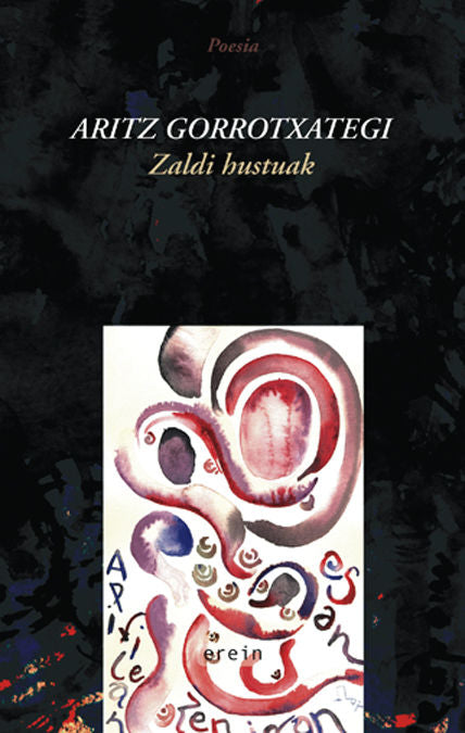 Zaldi hustuak, de ARITZ GORROTXATEGI | portada del libro