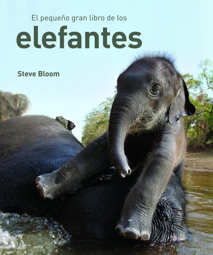EL PEQUEÑO GRAN LIBRO DE LOS ELEFANTES, de Bloom, Steve | portada del libro