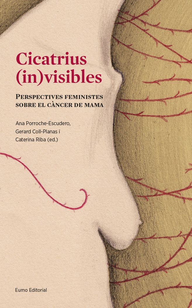 Cicatrius (in)visibles, de Porroche Escudero, Ana | portada del libro