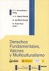 Derechos fundamentales, valores y multiculturalismo, de Ansuátegui Roig | portada del libro