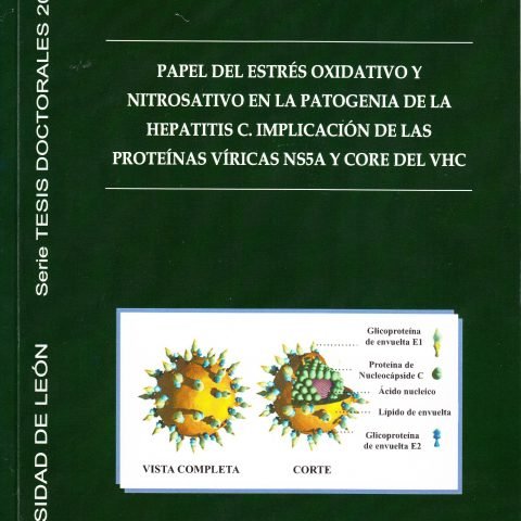 Papel del estrés oxidativo y nitrosativo en la patogenia de la hepatitis C. Impl, de GONZALEZ PEREZ, MARIA DEL PILAR | portad