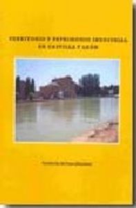 Territorio y patrimonio industrial en Castilla y León, de Benito del Pozo | portada del libro
