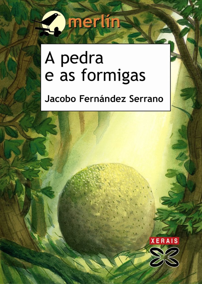 A pedra e as formigas, de Fernández Serrano, Jacobo | portada del libro