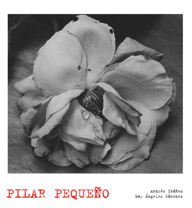 Pilar Pequeño. Lunwerg Photo, de AA. VV. | portada del libro