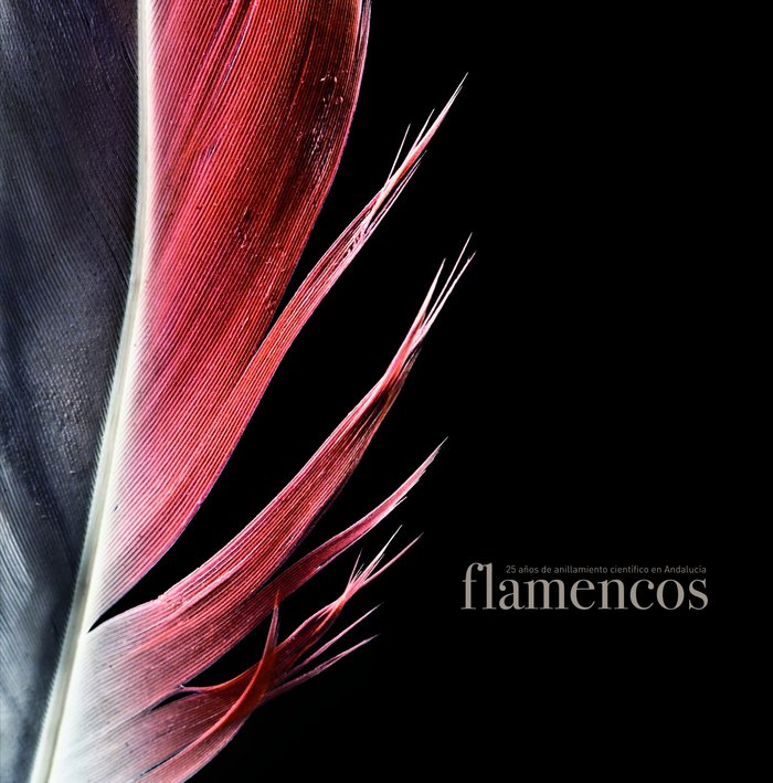 Flamencos, de AA. VV. | portada del libro