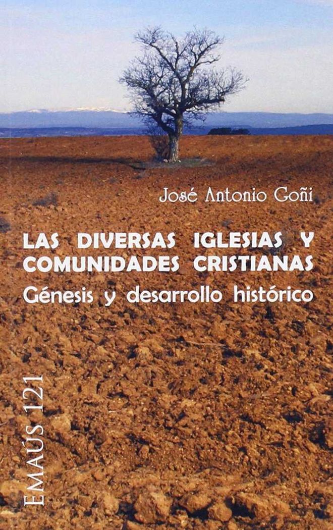 Las diversas Iglesias y comunidades cristianas, de Goñi Beasoain de Paulorena, José Antonio | portada del libro