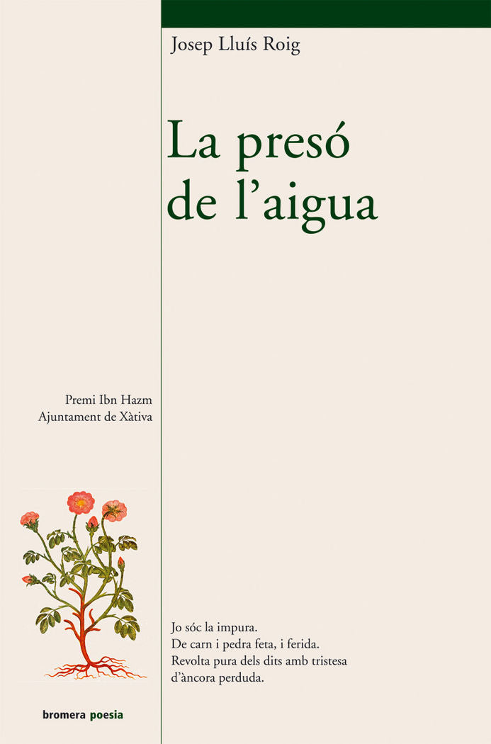 La presó de l'aigua, de Roig Sala | portada del libro