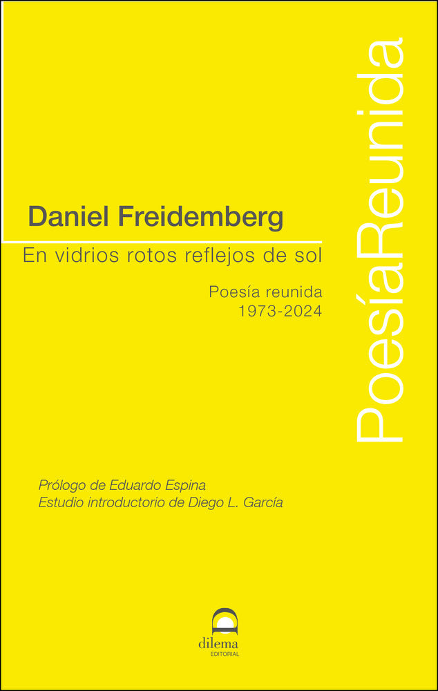 En vidrios rotos reflejos de sol, de Freidemberg, Daniel | portada del libro