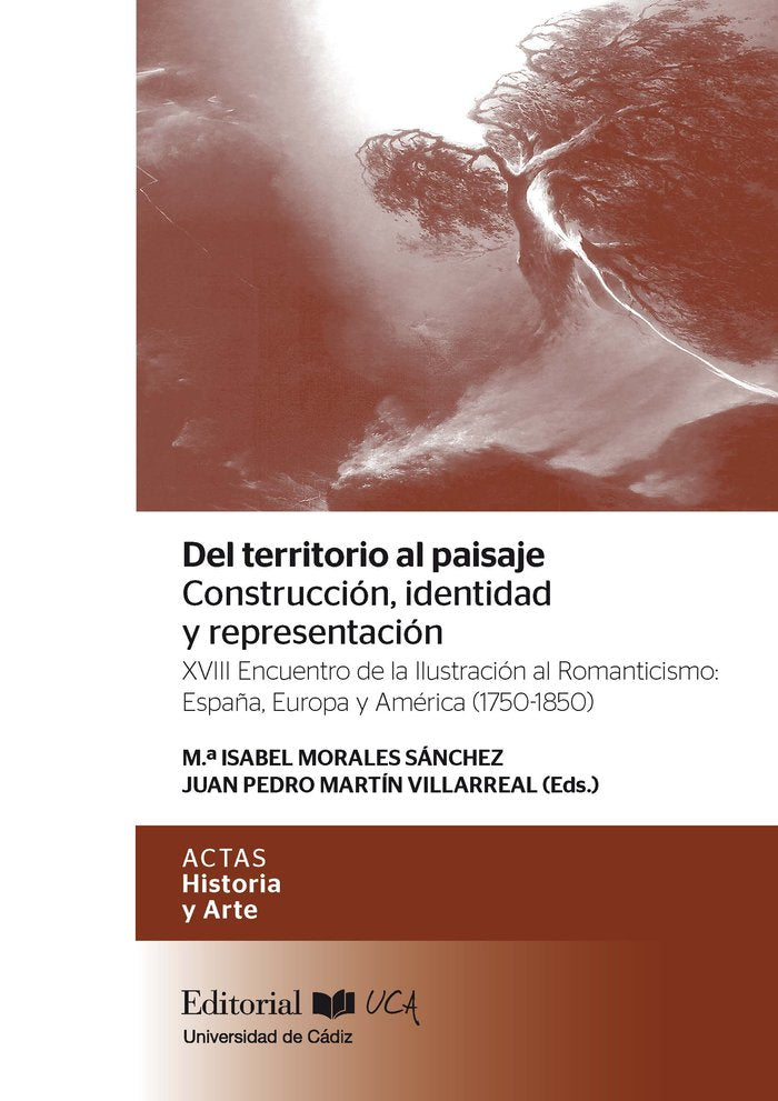 Del territorio al paisaje : construcción, identidad y representación, de MORALES SANCHEZ | portada del libro