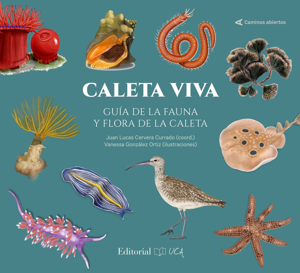 CALETA VIVA. GUIA DE LA FAUNA Y FLORA DE LA CALETA | portada del libro