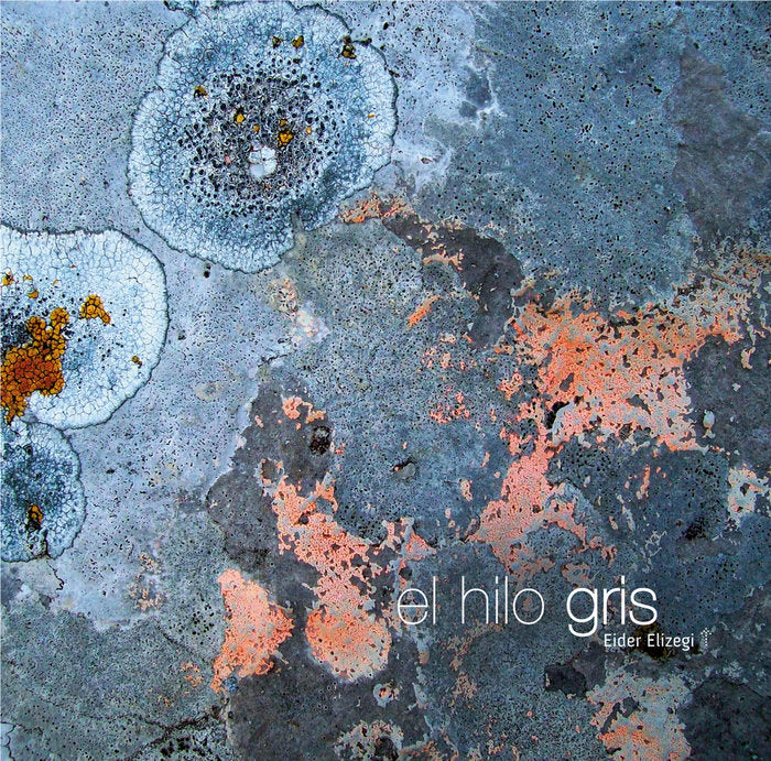 HILO GRIS, EL, de ELIZEGI TELLETXEA | portada del libro