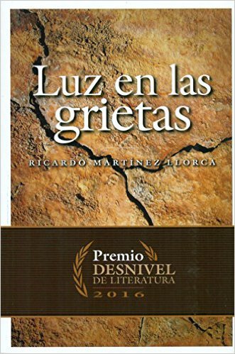 Luz en las grietas, de Martínez Llorca, Ricardo | portada del libro