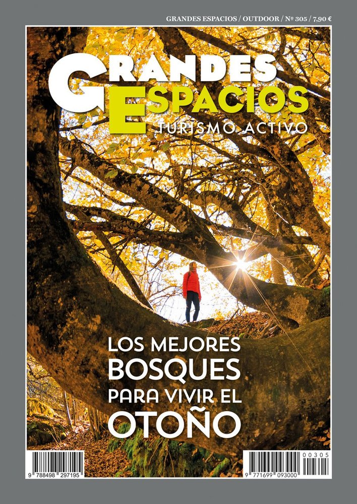 LOS MEJORES BOSQUES PARA VIVIR EL OTOÑO, de VARIOS AUTORES | portada del libro