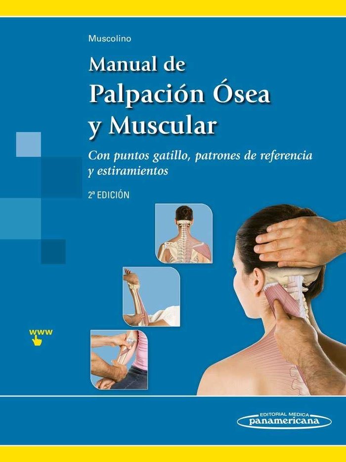 MUSCOLINO:Man. Palpaciùn Osea y Muscular, de MUSCOLINO, JOSEPH | portada del libro