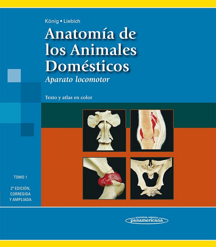 KàNIG-LIEBICH:Anat.Animales DomÄst.2E T1, de KONIG, HORST ERICH | portada del libro