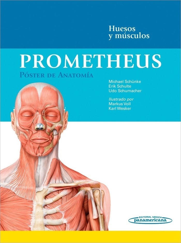 PROMETHEUS:Poster Anatomia.Huesos-Musc., de SCHüNKE, MICHAEL | portada del libro