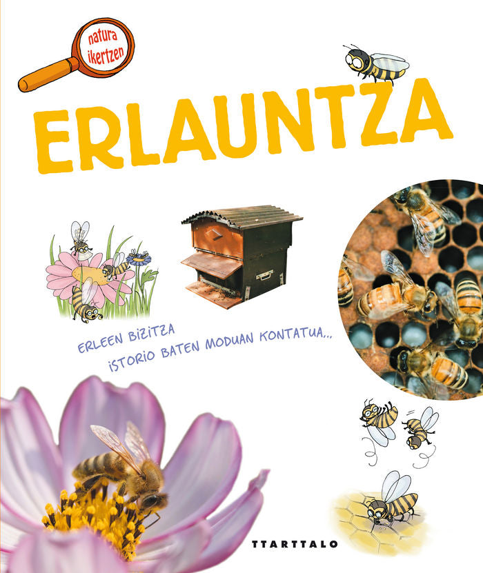 Erlauntza, de Hédelin, Pascale | portada del libro