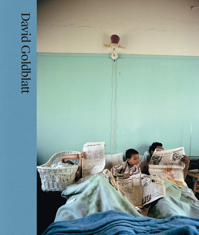 DAVID GOLDBLATT, de DITNER, JUDY | portada del libro