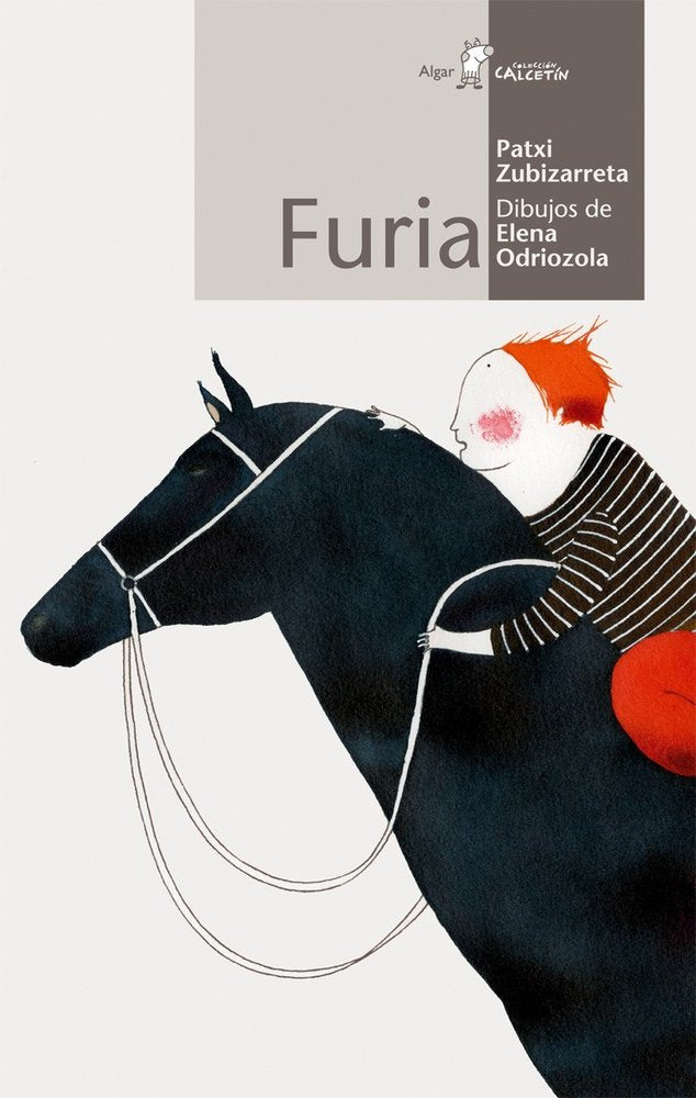 Furia, de Patxi Zubizarreta | portada del libro
