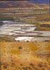 Las salinas y la sal de interior en la historia: econom¡a, medio ambiente y sociedad, de Mor?re Molinero | portada del libro