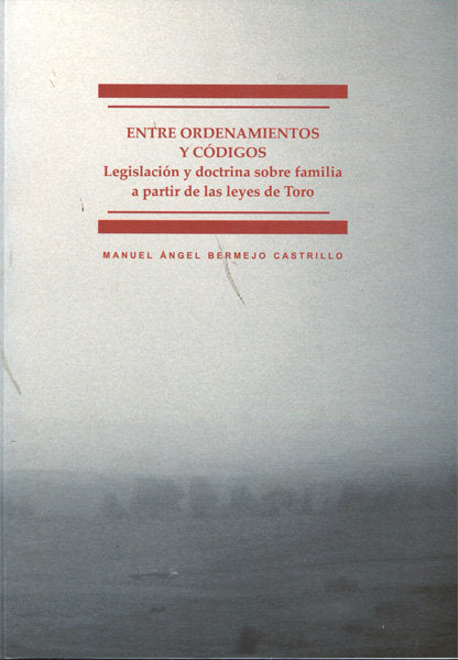 Entre ordenamientos y códigos, de Bermejo Castrillo, Manuel Ángel | portada del libro