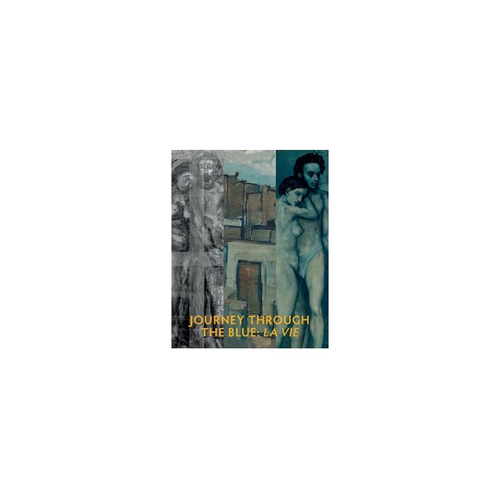 Journey through the blue, de A.A.V.V. | portada del libro
