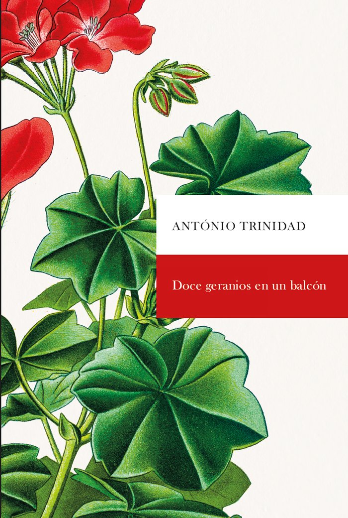 Doce geranios en un balcón, de Trinidad, António | portada del libro