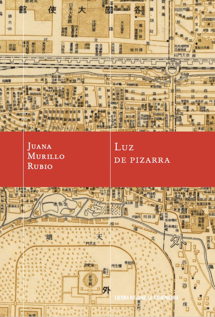 Luz de pizarra, de Murillo Rubio, Juana | portada del libro