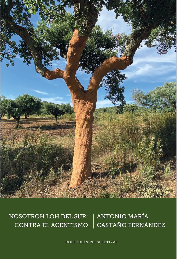 NOSOTROH LOH DEL SUR: CONTRA EL ACENTISMO, de Castaño Fernández, Antonio María | portada del libro