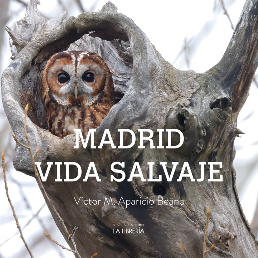MADRID VIDA SALVAJE, de APARICIO BEANO, VICTOR | portada del libro