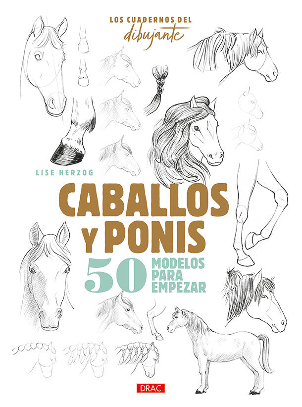 Los cuadernos del dibujante. Caballos y ponis, de Herzog, Lise | portada del libro