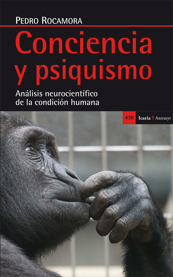 Conciencia y psiquismo, de Rocamora García-Valls, Pedro | portada del libro