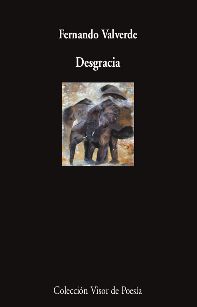 DESGRACIA, de VALVERDE, FERNANDO | portada del libro