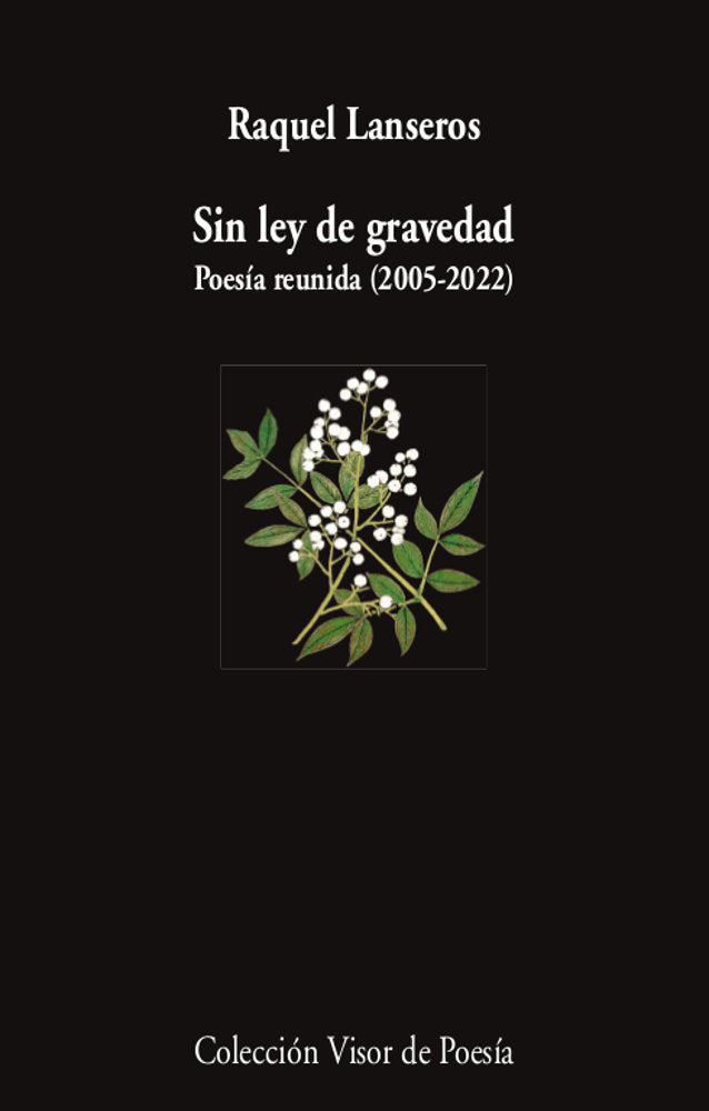 SIN LEY DE GRAVEDAD, de LANSEROS, RAQUEL | portada del libro