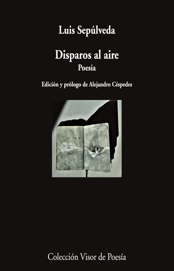 DISPAROS AL AIRE, de SEPULVEDA, LUIS | portada del libro