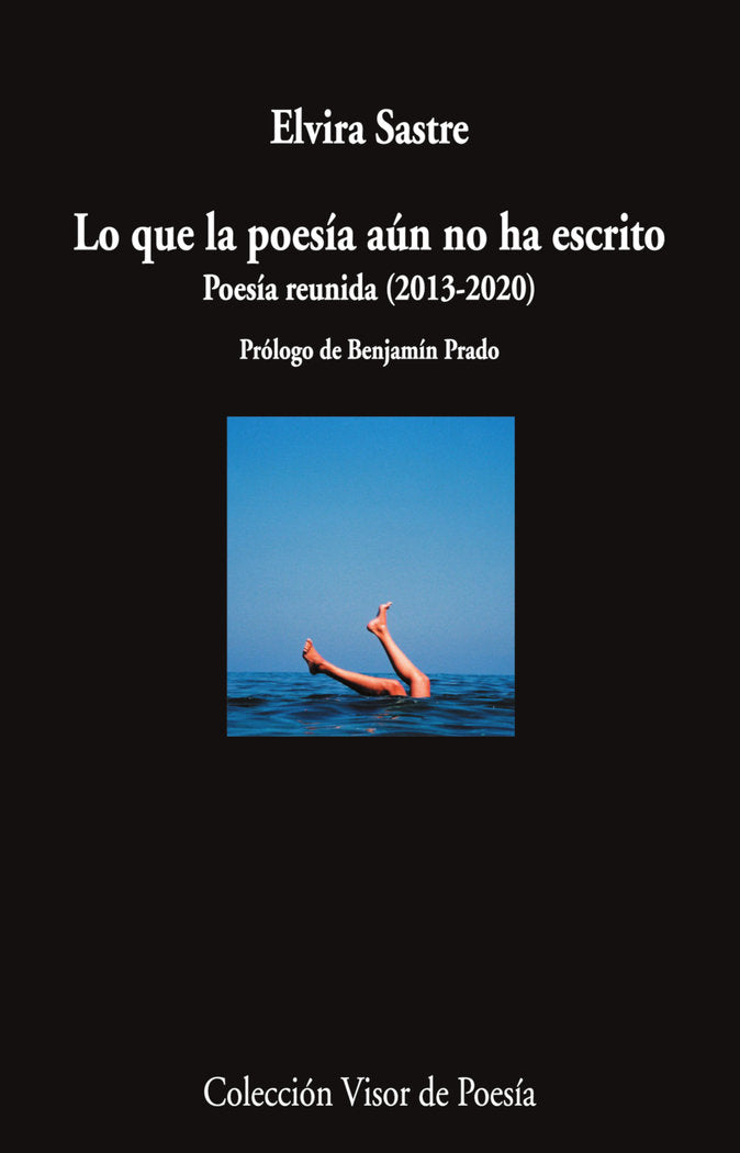 LO QUE LA POESIA AUN NO HA ESCRITO, de SASTRE, ELVIRA | portada del libro