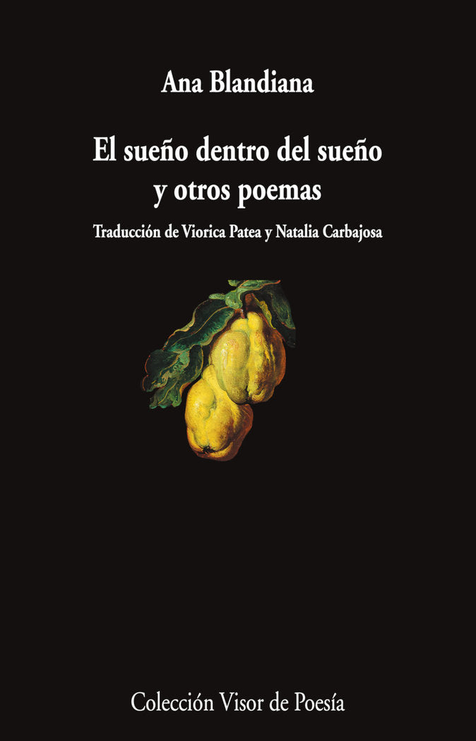 EL SUEÑO DENTRO DEL SUEÑO Y OTROS POEMAS, de BLANDIANA, ANA | portada del libro